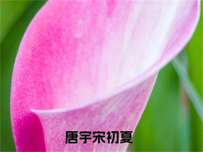 唐宇宋初夏（同居后，我被大佬娇宠了）全文免费阅读无弹窗大结局_ (同居后，我被大佬娇宠了小说免费阅读)最新章节列表_笔趣阁