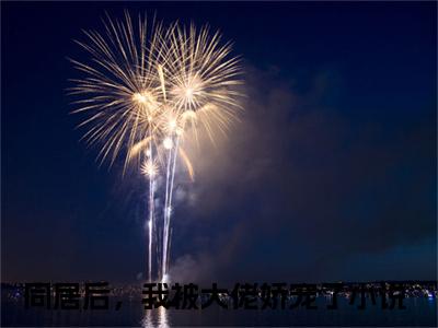 唐宇宋初夏(同居后，我被大佬娇宠了小说)全文免费阅读无弹窗大结局_同居后，我被大佬娇宠了小说免费阅读最新章节列表_笔趣阁（唐宇宋初夏小说）