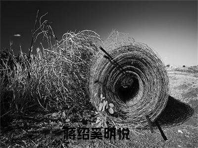 主角为蒋绍奚明悦的言情小说讲的是什么-（蒋绍奚明悦）小说在线阅读