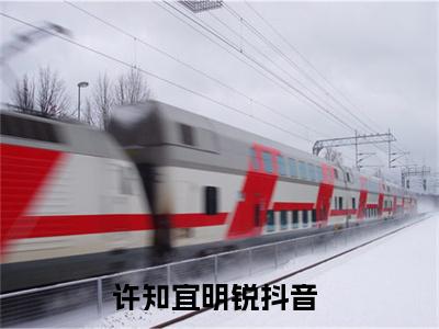 许知宜明锐小说（许知宜明锐）全文在线阅读免费大结局_许知宜明锐小说最新章节列表_笔趣阁（许知宜明锐）