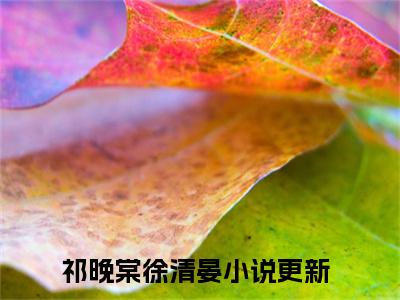 祁晚棠徐清晏（祁晚棠徐清晏）全文免费阅读无弹窗_祁晚棠徐清晏全文免费阅读最新章节大结局_