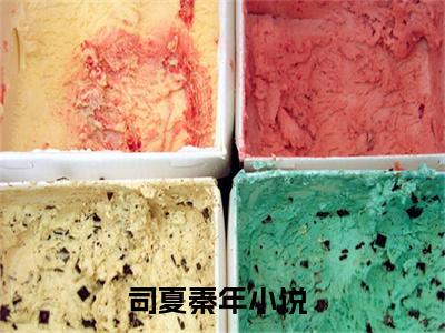 司夏秦年小说（司夏秦年）全文免费阅读无弹窗司夏秦年全文免费阅读无弹窗最新章节列表_笔趣阁