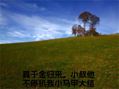 傅砚辞沈知意全文免费阅读（真千金归来，小叔他不停扒我小马甲免费阅读无弹窗）傅砚辞沈知意最新章节列表_笔趣阁