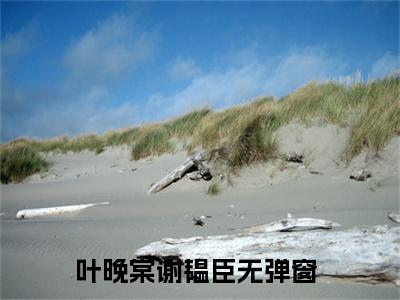 主角叫叶晚棠谢韫臣的小说-《叶晚棠谢韫臣》叶晚棠谢韫臣最新章节在线阅读