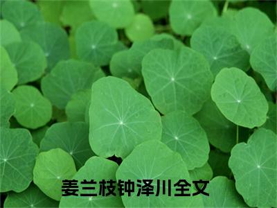 姜兰枝钟泽川抖音新书热门热荐- 姜兰枝钟泽川小说在线观看