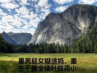 抖音小说（重男轻女糊涂妈，重生干翻全场叶枝花）主角是（重男轻女糊涂妈，重生干翻全场叶枝花）全文完整版免费阅读最新章节列表_笔趣阁