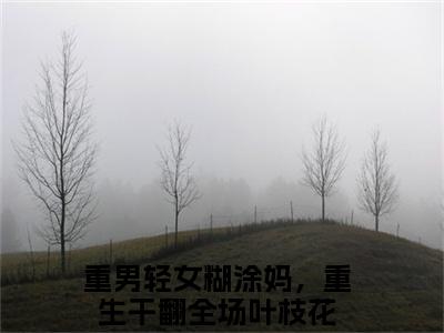 重男轻女糊涂妈，重生干翻全场叶枝花现言热文重男轻女糊涂妈，重生干翻全场叶枝花在线阅读-（重男轻女糊涂妈，重生干翻全场叶枝花）小说分享大结局重男轻女糊涂妈，重生干翻全场叶枝花