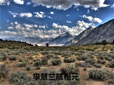 李慧兰陈楷元（李慧兰陈楷元小说）在线阅读全文_李慧兰陈楷元小说免费阅读完结版全文（李慧兰陈楷元）