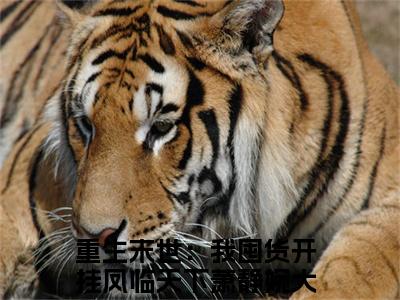 重生末世：我囤货开挂凤临天下萧静婉现言热文重生末世：我囤货开挂凤临天下萧静婉在线阅读-（重生末世：我囤货开挂凤临天下萧静婉）小说分享大结局重生末世：我囤货开挂凤临天下萧静婉