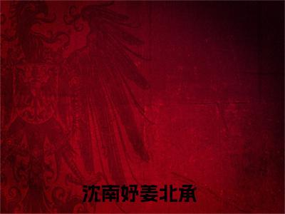 沈南妤姜北承（沈南妤姜北承）免费小说-（沈南妤姜北承）完结版在线阅读