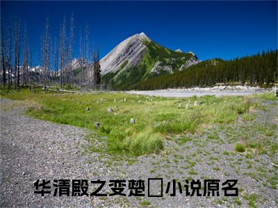 华清殿之变楚偲免费阅读（华清殿之变楚偲）全文免费阅读无弹窗大结局_华清殿之变楚偲免费阅读最新章节列表_笔趣阁（华清殿之变楚偲）