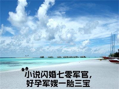 闪婚七零军官，好孕军嫂一胎三宝（姜妍陆云升）全文免费阅读无弹窗大结局姜妍陆云升（闪婚七零军官，好孕军嫂一胎三宝）