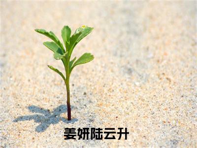 闪婚七零军官，好孕军嫂一胎三宝（姜妍陆云升）全文免费阅读无弹窗大结局_姜妍陆云升最新章节列表_笔趣阁（闪婚七零军官，好孕军嫂一胎三宝）