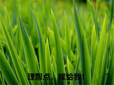 理智点，嫁给我！许知宜明锐精彩章节-理智点，嫁给我！许知宜明锐完整版阅读