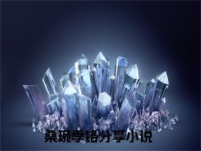 桑琬季铬完整版（桑琬季铬小说）全文免费阅读无弹窗大结局_桑琬季铬最新章节（桑琬季铬小说）