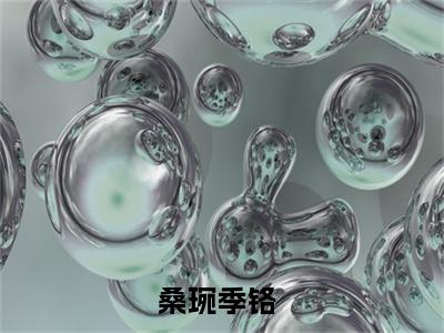 桑琬季铬小说在线阅读-小说（桑琬季铬）免费观看
