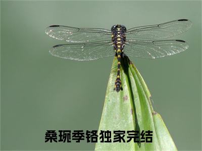 桑琬季铬(桑琬季铬）小说全文免费阅读无弹窗大结局_（桑琬季铬）桑琬季铬小说全文免费阅读最新章节列表笔趣阁（桑琬季铬）