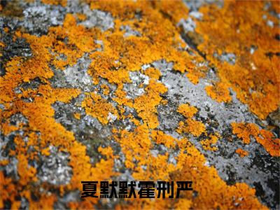 夏默默霍刑严免费小说（夏默默霍刑严）全文免费阅读无弹窗大结局_夏默默霍刑严免费小说最新章节列表_笔趣阁(夏默默霍刑严免费小说）