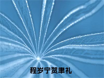 程岁宁贺聿礼无删版小说阅读-程岁宁贺聿礼全文无弹窗试读