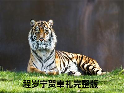 程岁宁贺聿礼（程岁宁贺聿礼）小说全文免费阅读无弹窗大结局_（程岁宁贺聿礼）程岁宁贺聿礼小说全文免费阅读最新章节列表笔趣阁（程岁宁贺聿礼）