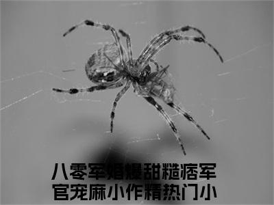 沈知意江城全文免费完整版-小说沈知意江城（八零军婚爆甜糙痞军官宠麻小作精）已完结全集大结局