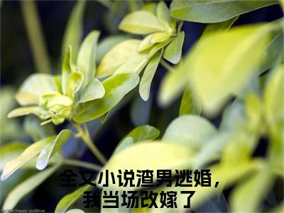 孟瑾瑶顾景熙（渣男逃婚，我当场改嫁了）全文免费阅读无弹窗大结局_（孟瑾瑶顾景熙）渣男逃婚，我当场改嫁了全文阅读-笔趣阁（孟瑾瑶顾景熙）