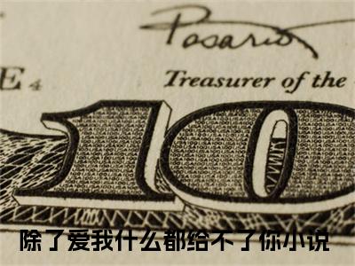 江云苓穆启淮（除了爱我什么都给不了你）全文免费阅读无弹窗大结局_（江云苓穆启淮）除了爱我什么都给不了你最新章节列表_笔趣阁
