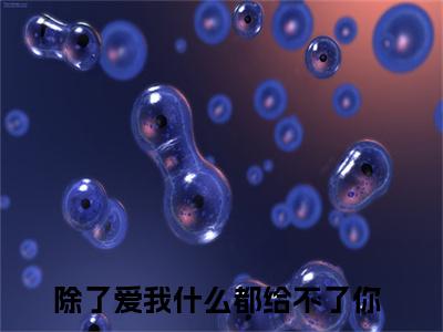 江云苓穆启淮全文免费阅读无弹窗大结局_（除了爱我什么都给不了你）江云苓穆启淮完整版全文在线赏析