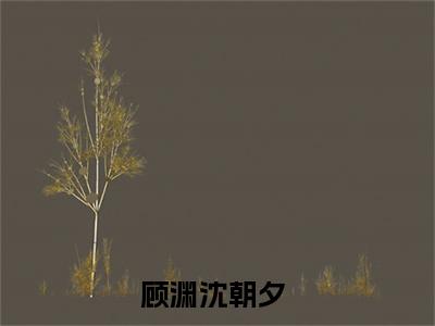 顾渊沈朝夕（顾渊沈朝夕）全文免费阅读无弹窗大结局_ (顾渊沈朝夕小说免费阅读)最新章节列表_笔趣阁