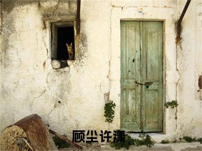 顾尘许漾全网首发小说- 顾尘许漾美文无删阅读
