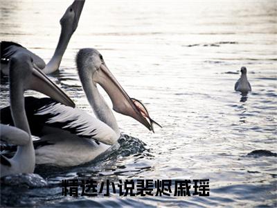 （裴烬戚瑶小说免费阅读）全文免费阅读无弹窗大结局_裴烬戚瑶小说免费阅读最新章节列表_笔趣阁（裴烬戚瑶阅读无弹窗）
