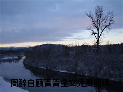 周辞白顾青青是什么小说 周辞白顾青青正版小说免费阅读_笔趣阁