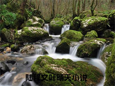 小说(陆程文叶晴天)免费阅读-珍藏美文读物陆程文叶晴天