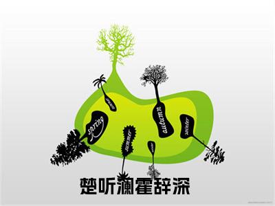 楚听澜霍辞深小说讲的是什么-楚听澜霍辞深精彩章节目录观看