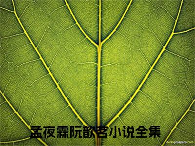 孟夜霖阮歆茗小说完整版在线阅读 孟夜霖阮歆茗精选小说推荐试读