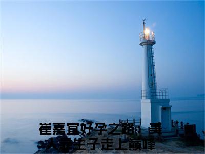 好孕之路：美人靠生子走上巅峰（崔嘉宜）全文免费阅读无弹窗大结局_（崔嘉宜无弹窗）_笔趣阁