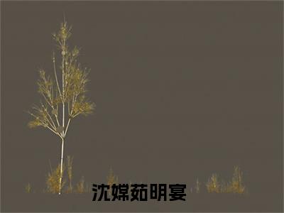 沈嫦茹明宴（沈嫦茹明宴）小说全文完结版免费阅读