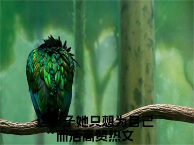 江虞周郁南抖音最新热点小说，这辈子她只想为自己而活小说最新章节阅读