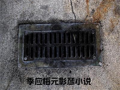 季应梅元彰彦小说完整版全文在线赏析-完结版小说（季应梅元彰彦）