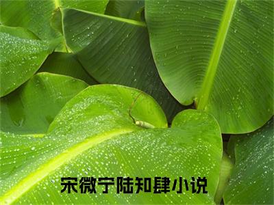 宋微宁陆知肆小说免费(宋微宁陆知肆)全文免费阅读无弹窗-宋微宁陆知肆小说全文免费阅读最新章节列表_笔趣阁