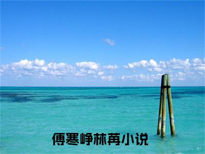 傅寒峥林苒阅读无弹窗大结局_（傅寒峥林苒阅读无弹窗）最新章节列表_笔趣阁（傅寒峥林苒）