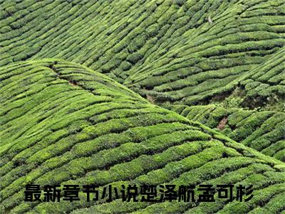 楚泽航孟可杉完整版最新小说大结局-楚泽航孟可杉无删版阅读