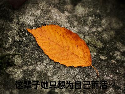 江虞周郁南（这辈子她只想为自己而活）小说-江虞周郁南小说免费最新章节列表