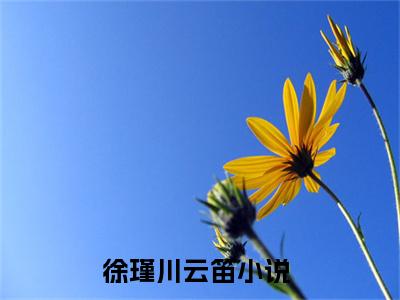 徐瑾川云笛精彩小说赏析全文 徐瑾川云笛热门小说免费阅读