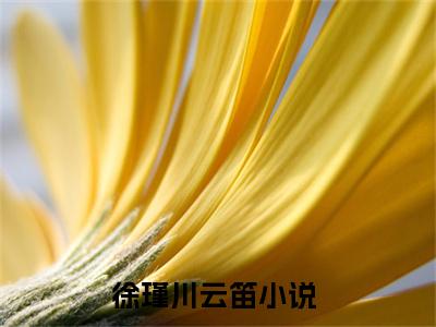 徐瑾川云笛（徐瑾川云笛）小说全文免费阅读无弹窗大结局_（徐瑾川云笛）徐瑾川云笛小说全文免费阅读最新章节列表笔趣阁（徐瑾川云笛）
