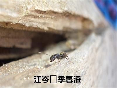 江岑昳季暮深(江岑昳季暮深)全文免费阅读无弹窗_(江岑昳季暮深)江岑昳季暮深最新章节列表笔趣阁（江岑昳季暮深）