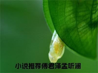 傅君泽孟听澜(傅君泽孟听澜小说)全文免费阅读无弹窗大结局_傅君泽孟听澜小说免费阅读最新章节列表_笔趣阁（傅君泽孟听澜小说）