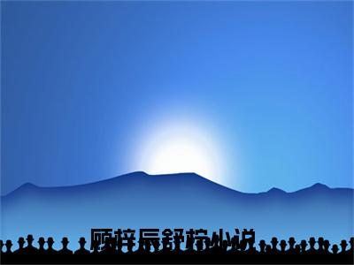 顾梓辰舒柠完结版小说全文在线免费阅读_顾梓辰舒柠最新章节列表_笔趣阁