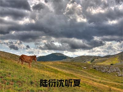(陆衍沈听夏)小说免费阅读无弹窗_（陆衍沈听夏免费阅读）陆衍沈听夏小说最新章节列表_笔趣阁（陆衍沈听夏下载）