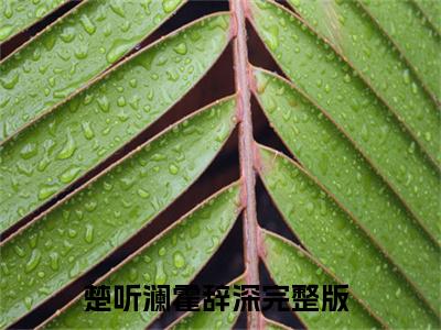 楚听澜霍辞深小说全文无删减版在线阅读_（楚听澜霍辞深）小说全文免费阅读_楚听澜霍辞深最新章节列表_笔趣阁